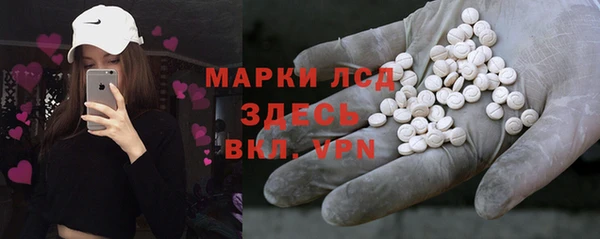 спиды Ладушкин