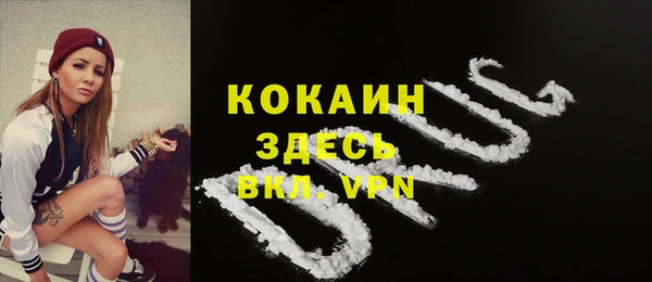 спиды Ладушкин