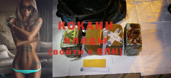 спиды Ладушкин